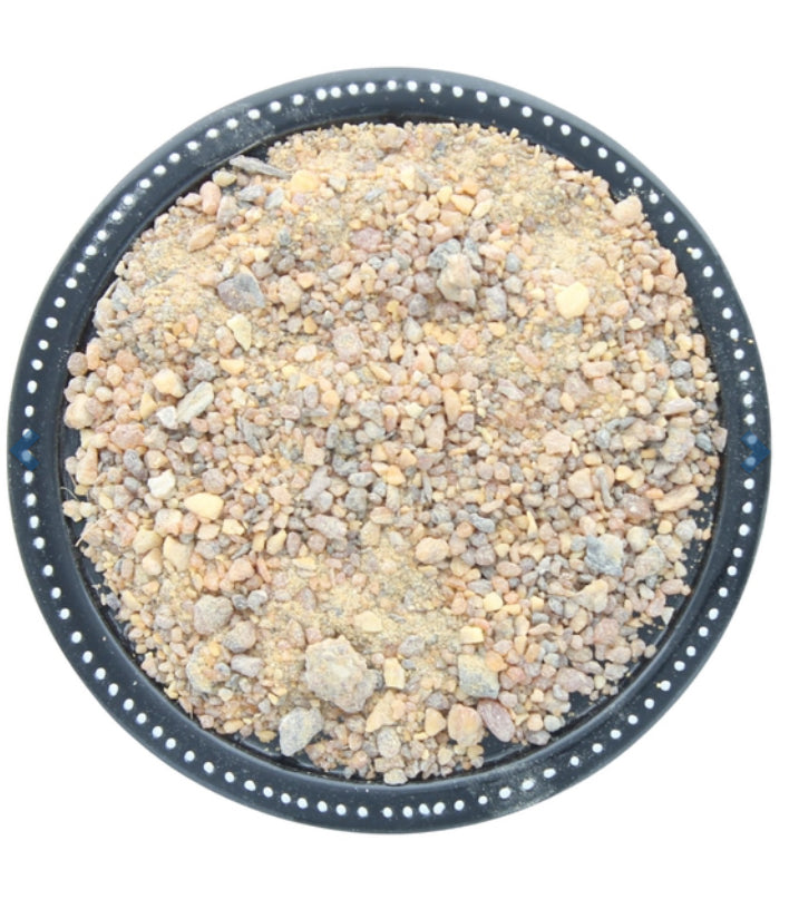 Encens résine en grains Benjoin du Siam 50 g