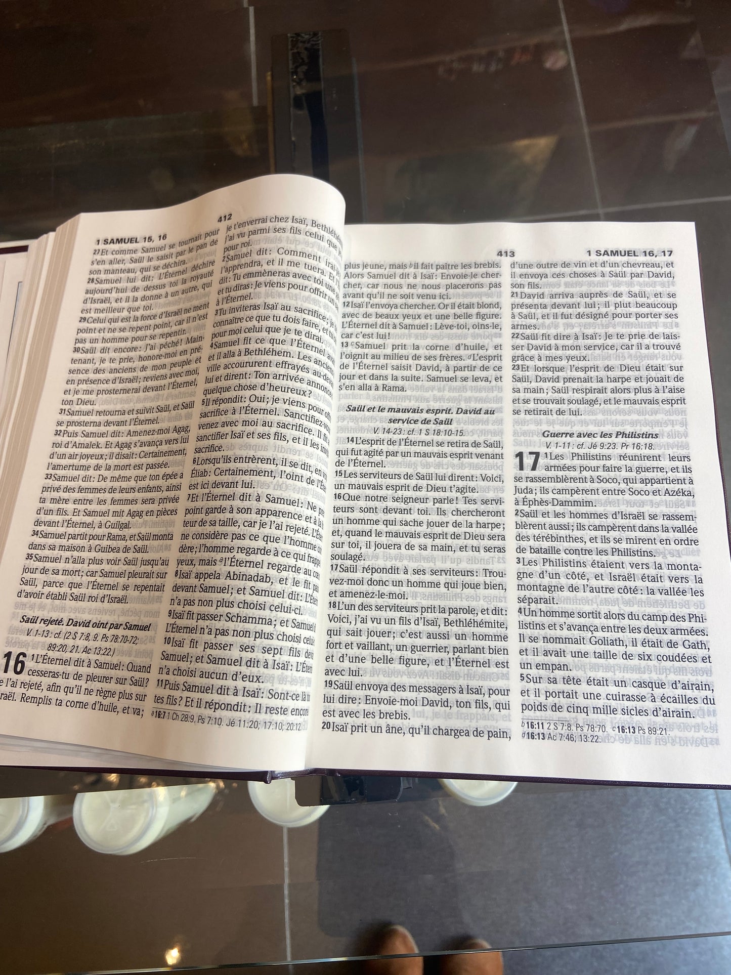 Bible version Louis Segond-  Gros caractère